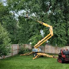 Leaf Removal in Chelsea Cove, NY