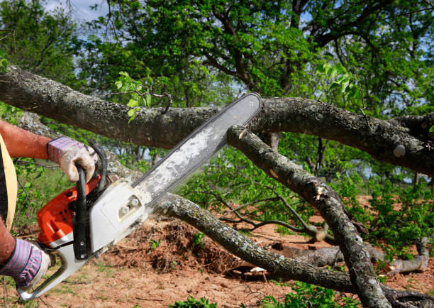 Mulching Services in Chelsea Cove, NY